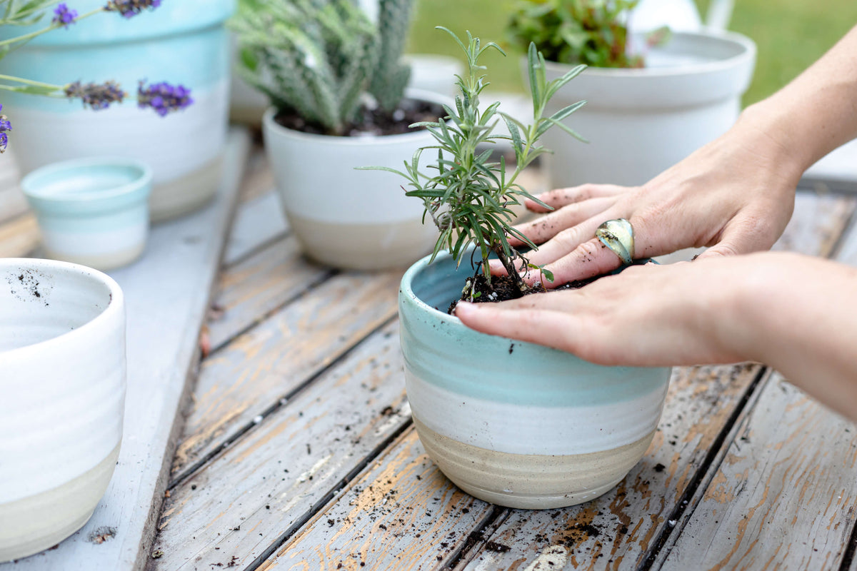Coastal Planter