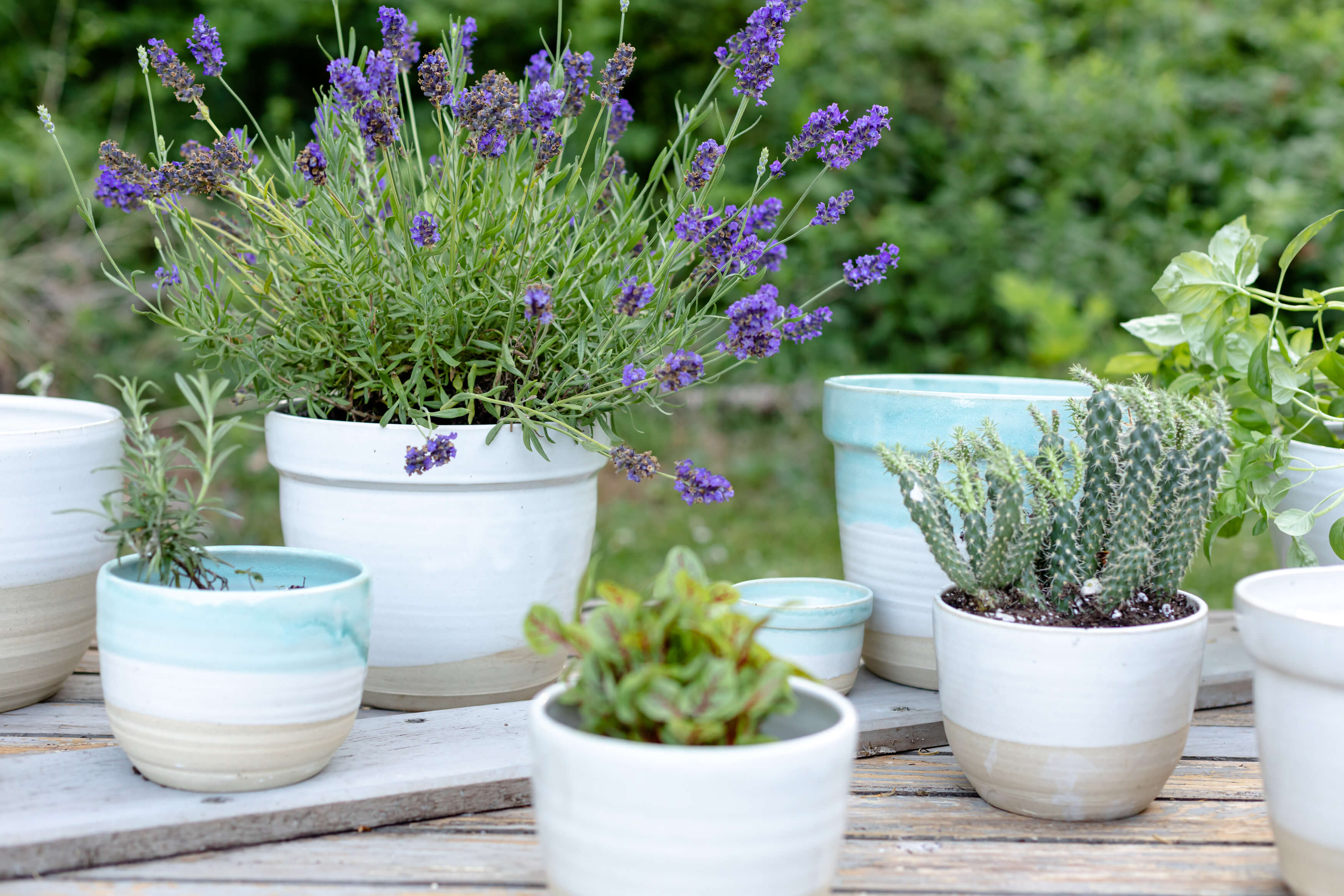 coastal plant pots Classic Planter